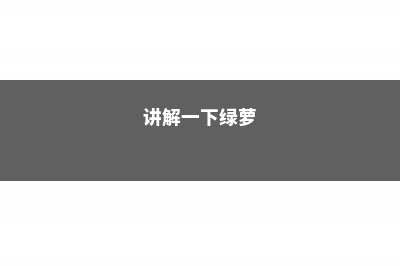 绿萝视频：绿萝叶片锃亮长成瀑布的方法 – (讲解一下绿萝)