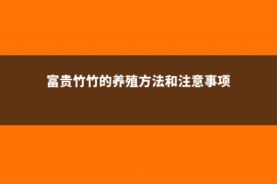 富贵竹视频：富贵竹夏季防叶黄烂根秘籍 – (富贵竹竹的养殖方法和注意事项)