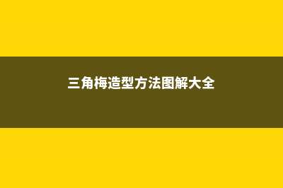 三角梅的造型方法之硬枝整形 (三角梅造型方法图解大全)