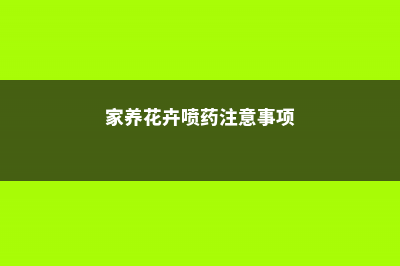 室内养花如何喷水 (家养花卉喷药注意事项)