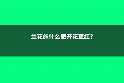 兰花施什么肥 (兰花施什么肥开花更红?)