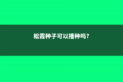 松霞的繁殖方法 (松霞种子可以播种吗?)