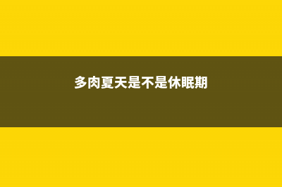 多肉的夏季休眠及其养护 (多肉夏天是不是休眠期)