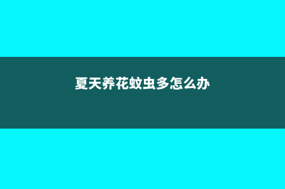 夏天养花蚊虫多?1招就解决 (夏天养花蚊虫多怎么办)