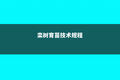 栾树的苗期管理方法 (栾树育苗技术规程)