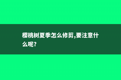 樱桃树夏季怎么养护 (樱桃树夏季怎么修剪,要注意什么呢?)