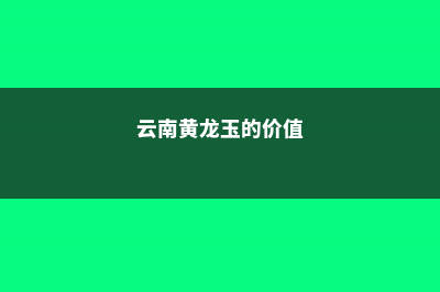 稠李播种繁殖方法 (云南黄龙玉的价值)