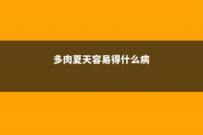 夏天,多肉都是这么死的!提前预防,1个不少 (多肉夏天容易得什么病)