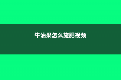 牛油果怎么施肥 (牛油果怎么施肥视频)