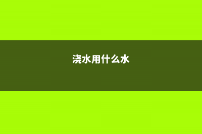 浇上这5种水,吊兰绿萝君子兰,啥花都能长得壮 (浇水用什么水)