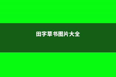 田字草扦插繁殖方法 (田字草书图片大全)