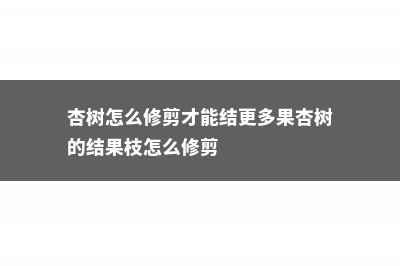 杏树怎么修剪 (杏树怎么修剪才能结更多果杏树的结果枝怎么修剪)