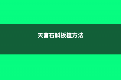 天宮石斛扦插繁殖方法 (天宫石斛板植方法)