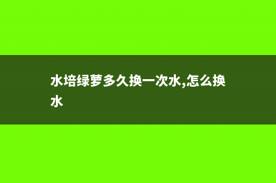 水培绿萝多久换一次水 (水培绿萝多久换一次水,怎么换水)