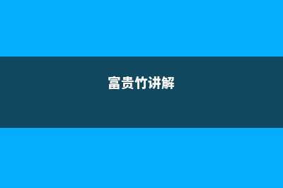 富贵竹视频：富贵竹水培瓶里加点这个，10年不黄叶不烂根！ (富贵竹讲解)