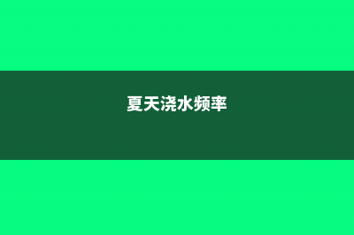 夏天浇水要谨慎,一个不小心,花就必死无疑 (夏天浇水频率)