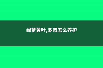 绿萝黄叶，多肉烂根，栀子掉苞...1招搞定！ (绿萝黄叶,多肉怎么养护)