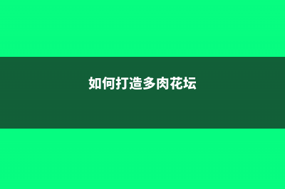 想建一个多肉花园,不花钱的方法,我都给你找齐了 (如何打造多肉花坛)