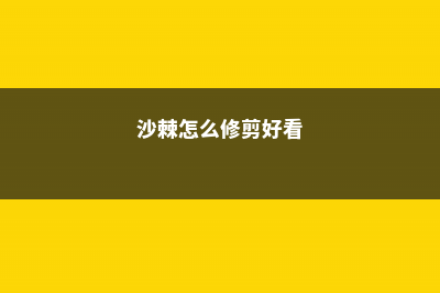 沙棘怎么修剪 (沙棘怎么修剪好看)