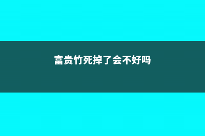 快死的富贵竹，她一个小动作就救活了，怎么做到的 (富贵竹死掉了会不好吗)