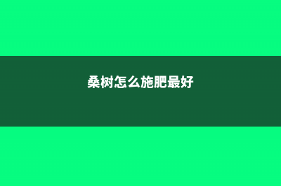 桑树怎么施肥 (桑树怎么施肥最好)