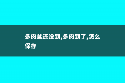 多肉盆里扔了点东西，1个月后我惊呆了 (多肉盆还没到,多肉到了,怎么保存)