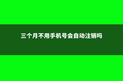 不用3个月，就能种出个牵牛花窗帘 (三个月不用手机号会自动注销吗)