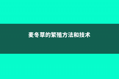 麦冬草的繁殖方法 (麦冬草的繁殖方法和技术)