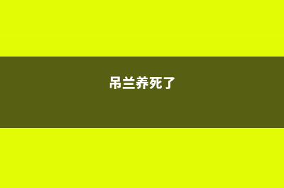 快死的吊兰别扔，1分钟让它起死回生 (吊兰养死了)