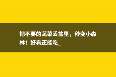 把不要的蔬菜丢盆里，秒变小森林！好看还能吃 