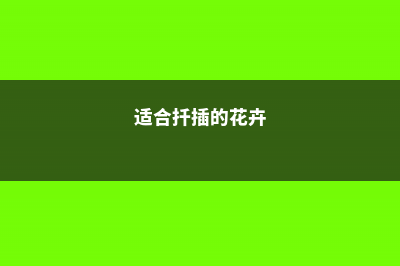 最适合现在扦插的4种植物，掐个枝就能爆盆，想养不活都难 (适合扦插的花卉)