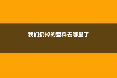 被你扔掉的塑料瓶，别人居然拿来做这个 (我们扔掉的塑料去哪里了)