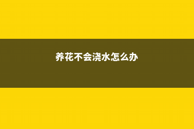 养花不会浇水，你的赶紧学会这些 (养花不会浇水怎么办)