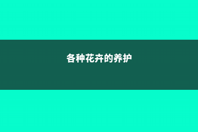 常见花卉的养护——浇水篇 (各种花卉的养护)