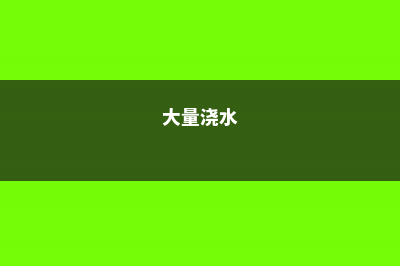 浇水多做1件事，花长得比别人快10倍 (大量浇水)