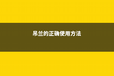 吊兰视频：吊兰叶尖干焦，花盆里放点这个，很有用 (吊兰的正确使用方法)