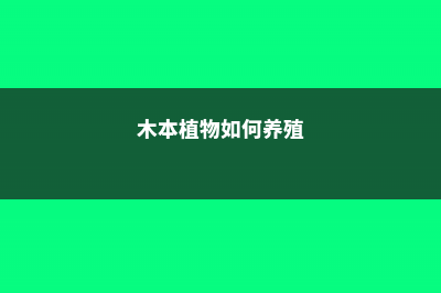 木本植物如何养根——以栀子花为例 (木本植物如何养殖)