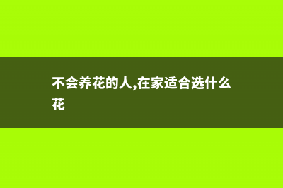 不会养花的人，那就养棵树吧，1个月都不用管 (不会养花的人,在家适合选什么花)