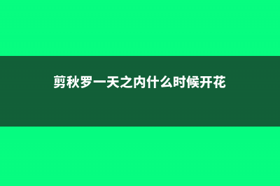 剪秋罗的繁殖方法 (剪秋罗一天之内什么时候开花)