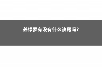 养绿萝的看过来，这样养，才能疯长不发黄 (养绿萝有没有什么诀窍吗?)