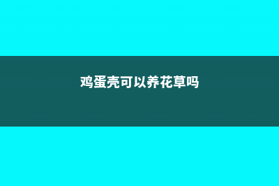 鸡蛋壳养花还能这样用！实用又好玩！咋不早告诉我！ (鸡蛋壳可以养花草吗)