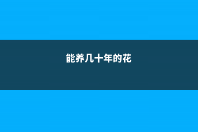 养了几十年花，位置没放对，白瞎了 (能养几十年的花)