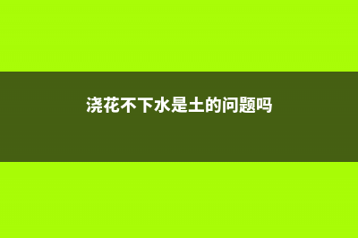 养花不懂浇水，你的花分分钟要死了 (浇花不下水是土的问题吗)