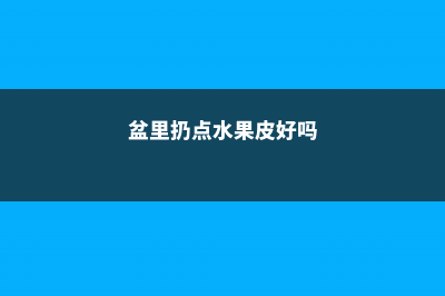 盆里扔点水果皮，没想到花长疯了 (盆里扔点水果皮好吗)