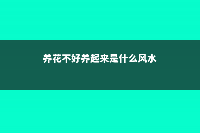 花总养不好？学会3句话保花不死 (养花不好养起来是什么风水)