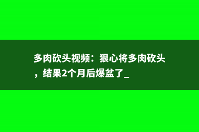 多肉砍头视频：狠心将多肉砍头，结果2个月后爆盆了 