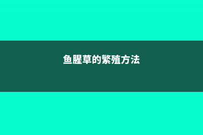 鱼腥草的繁殖方法 (鱼腥草的繁殖方法)