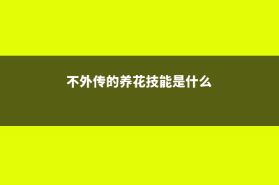 不外传的养花技巧，赶紧学起来 (不外传的养花技能是什么)