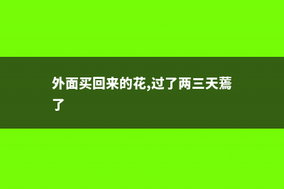 花买回来3天就蔫了？这么做立马挺拔水灵 (外面买回来的花,过了两三天蔫了)