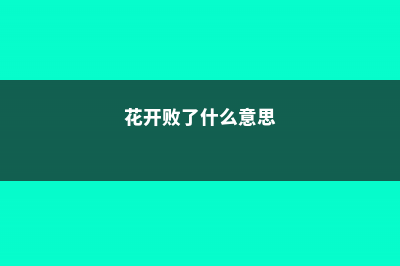 花开败了这么做，过几天又能花开满枝 (花开败了什么意思)